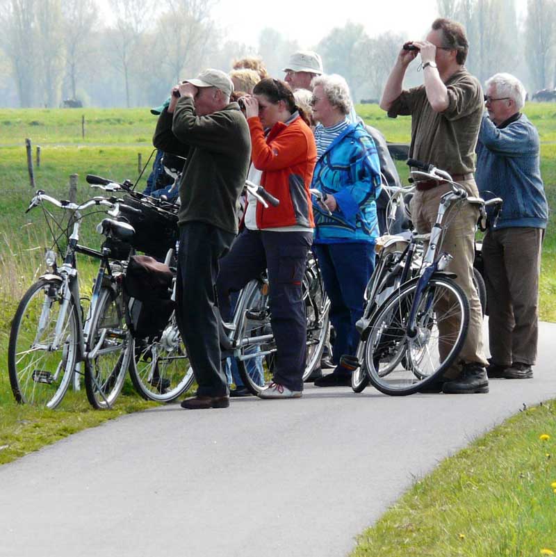 nest-ANV-binnenveld