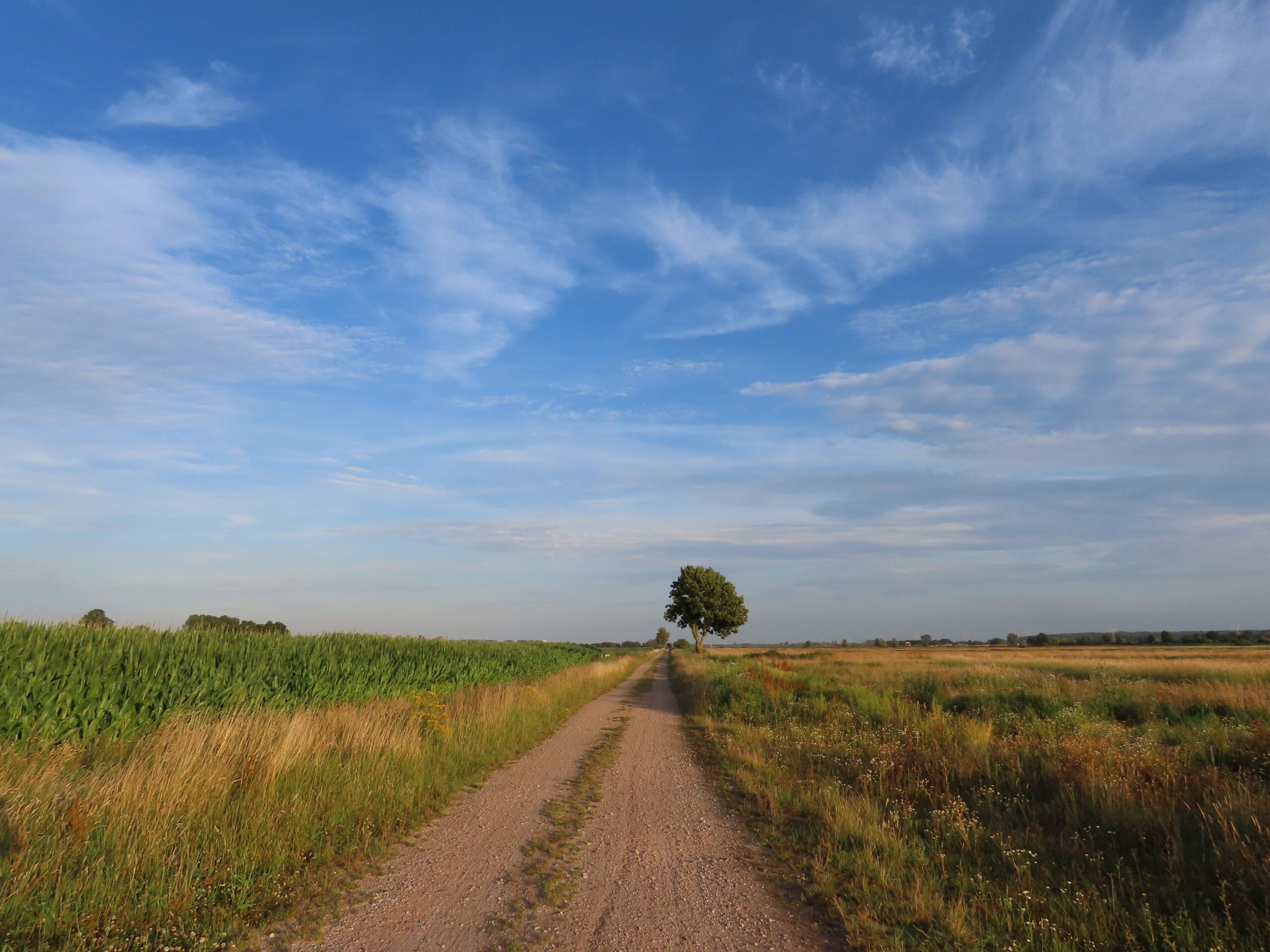 nest-ANV-binnenveld
